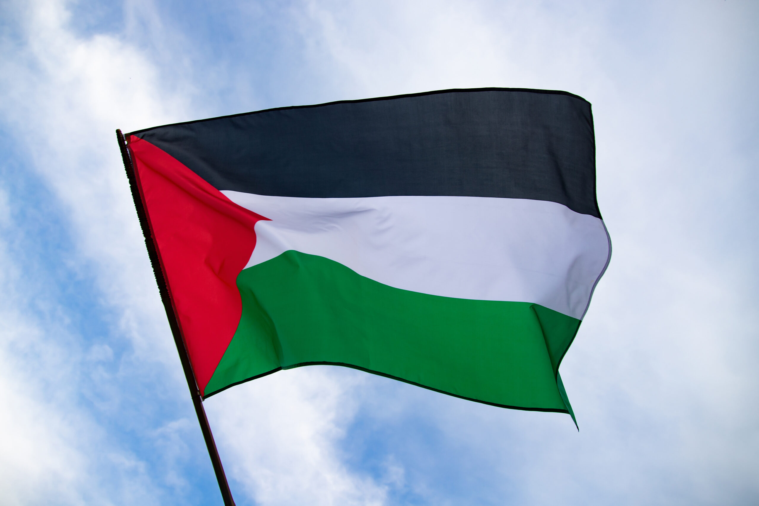 Super Bowl Halftime Show Disrupted by Flag Protest: NFL Responds to Palestine and Sudan Stunt