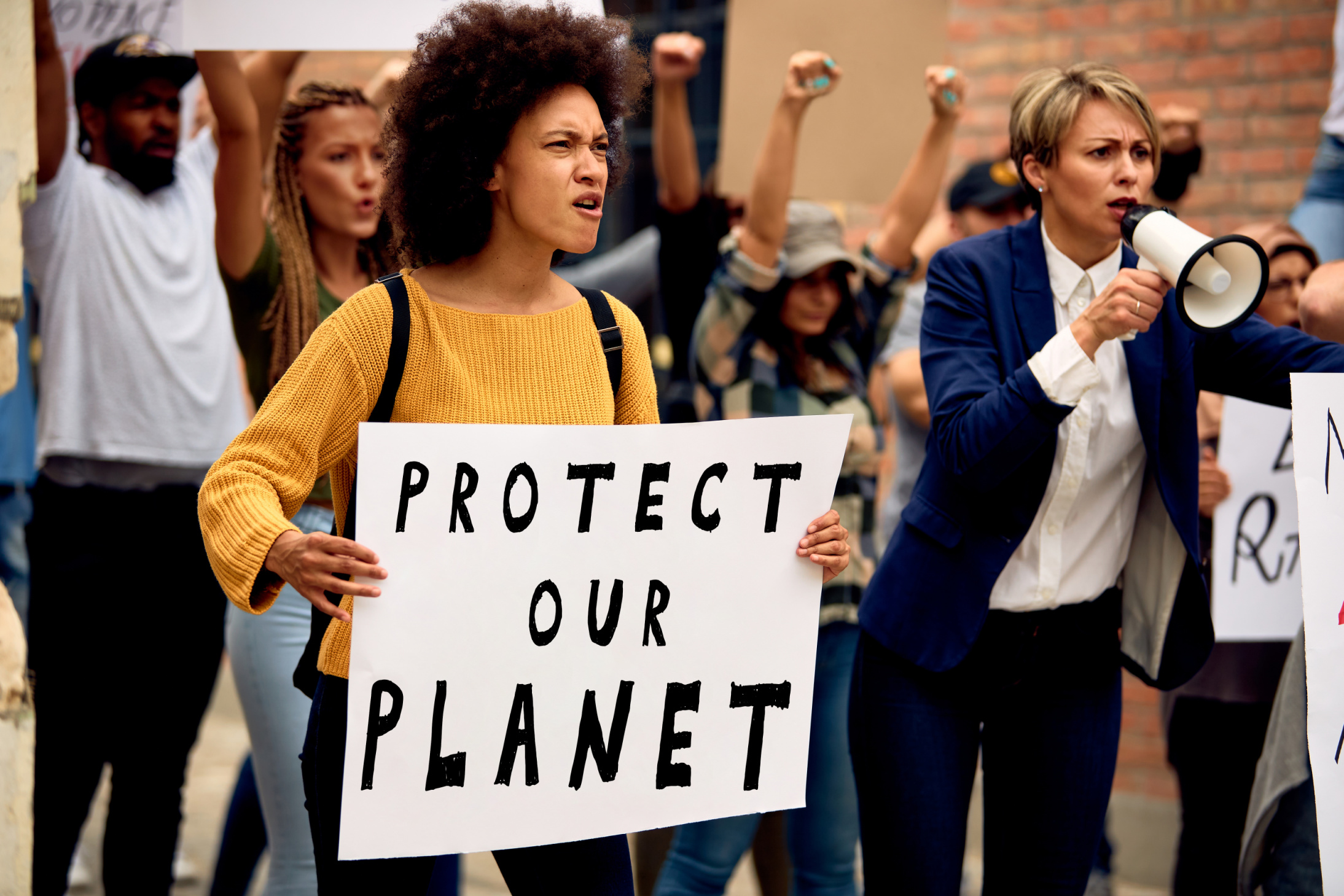 COP30 Summit in the Amazon: Climate Activists Destroy Rainforest for ‘Sustainable’ Event