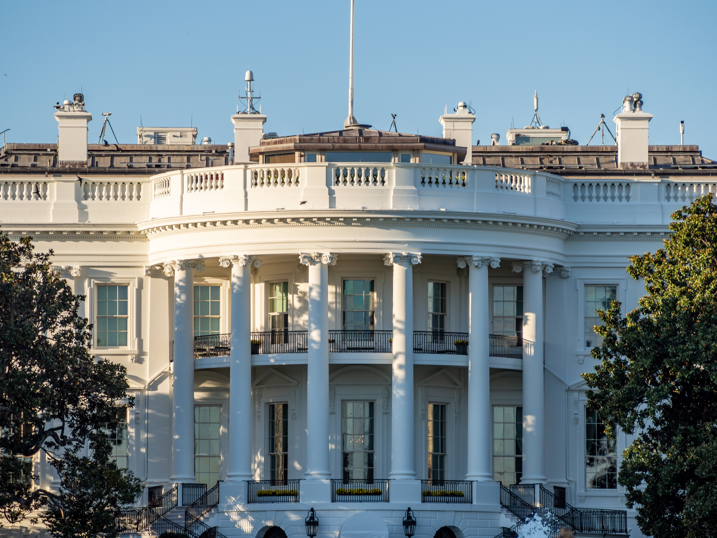 The View Co-Hosts Slam WHCA for Dropping Anti-Trump Comedian Amber Ruffin