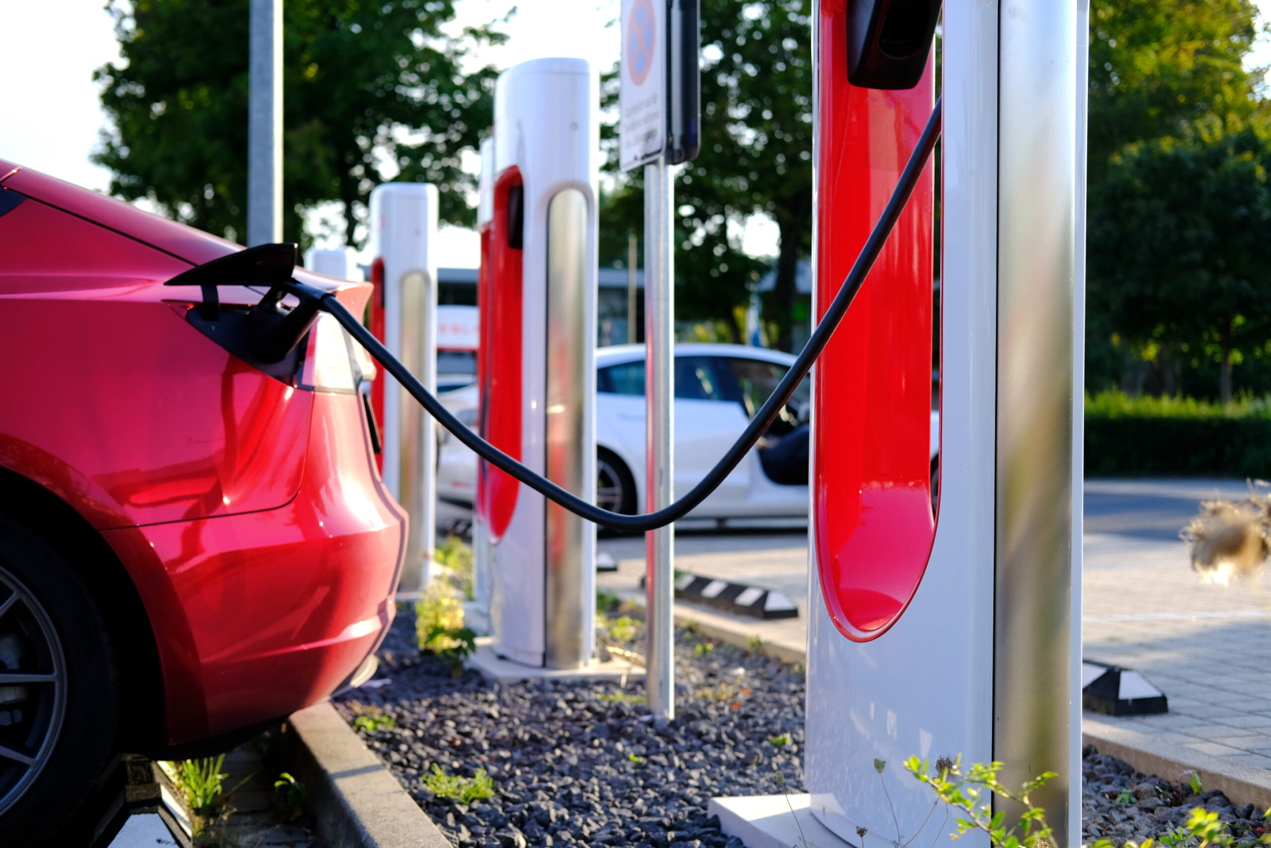 Tesla Vandal Walks Free: Minnesota DA’s Two-Tier Justice Sparks Outrage!