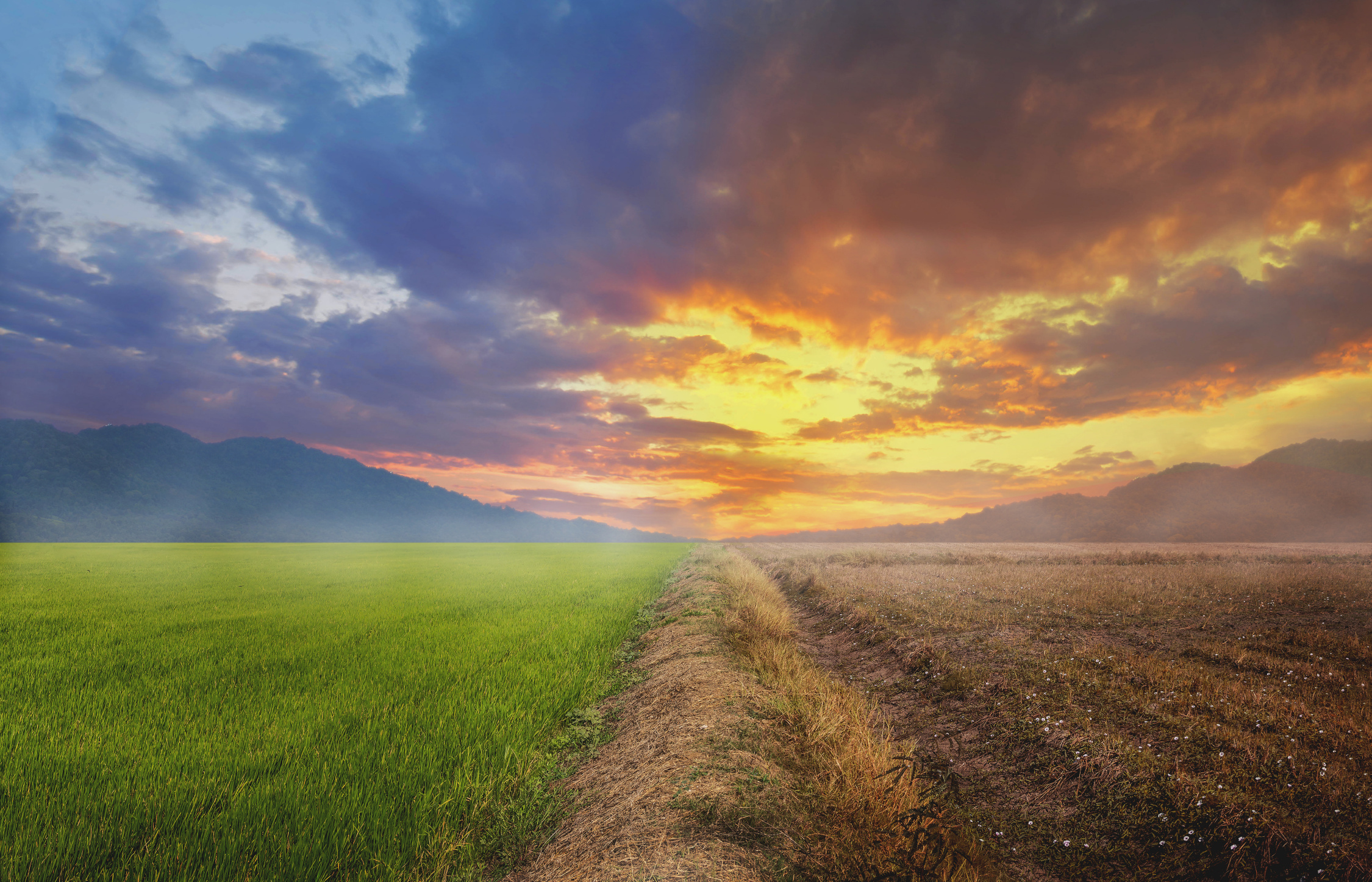 Poll: Majority of Americans Prioritize Energy Independence Over Climate Change Image