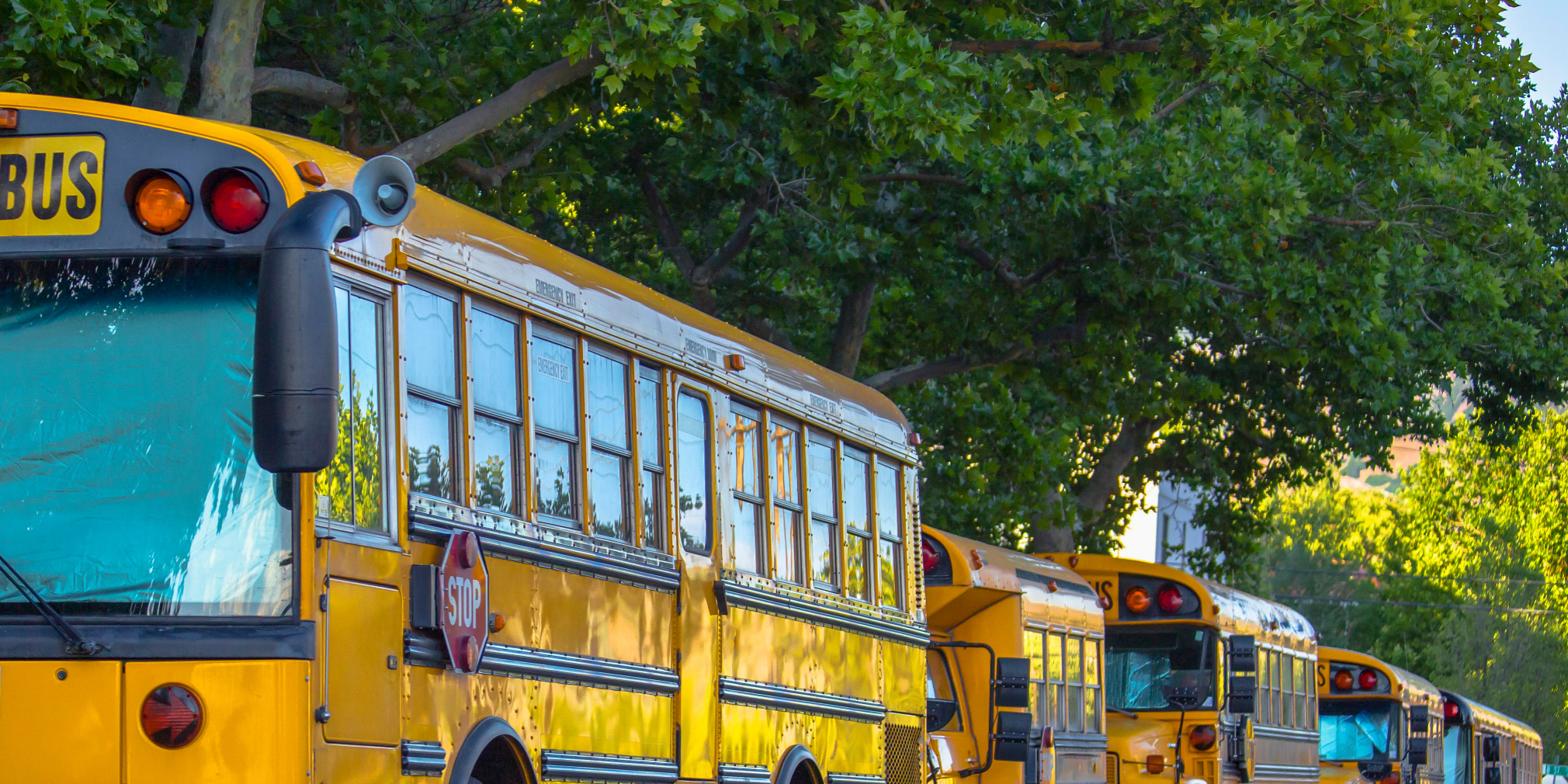 New Law Lets Schools Save Big on Transportation: Braun Bill Replaces School Buses with Vans and Cars Image
