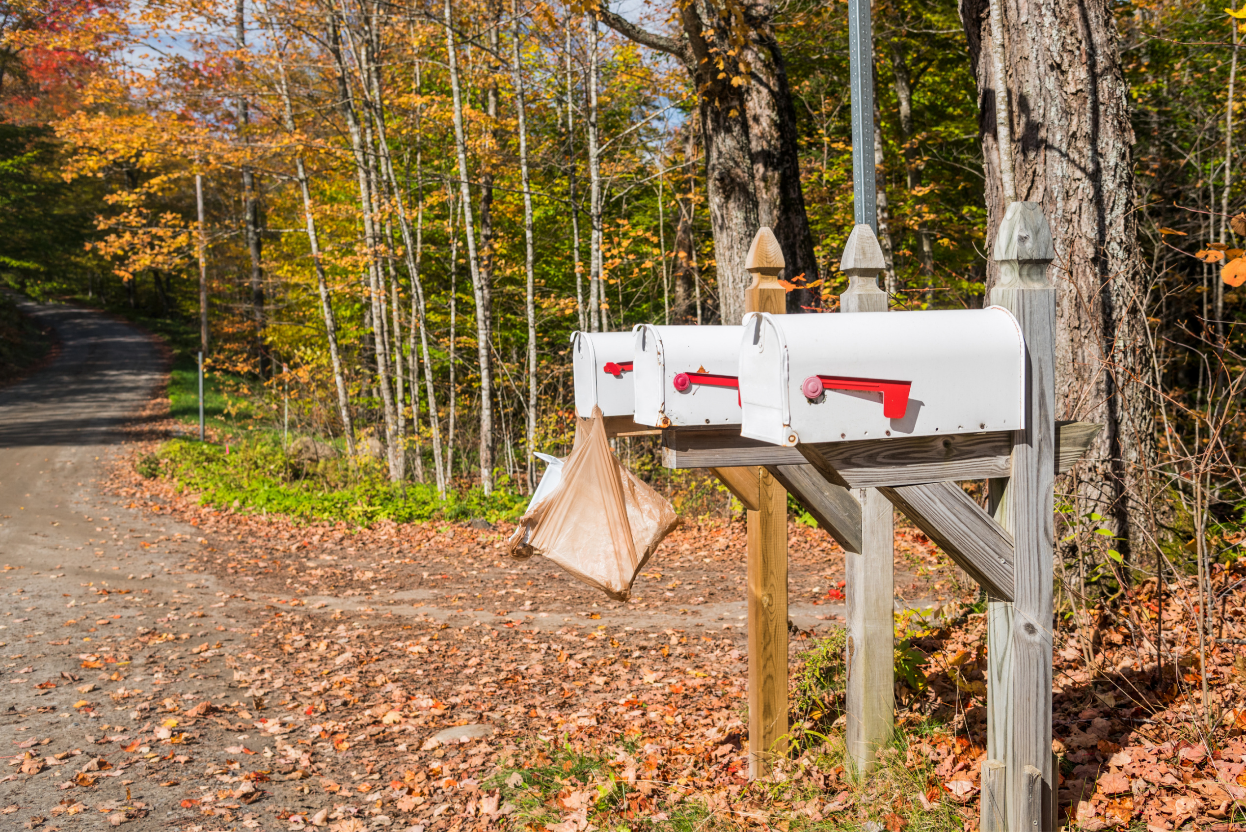 Bridge to the Future: Vermont Scores $22.7M Grant in Bipartisan Push Image