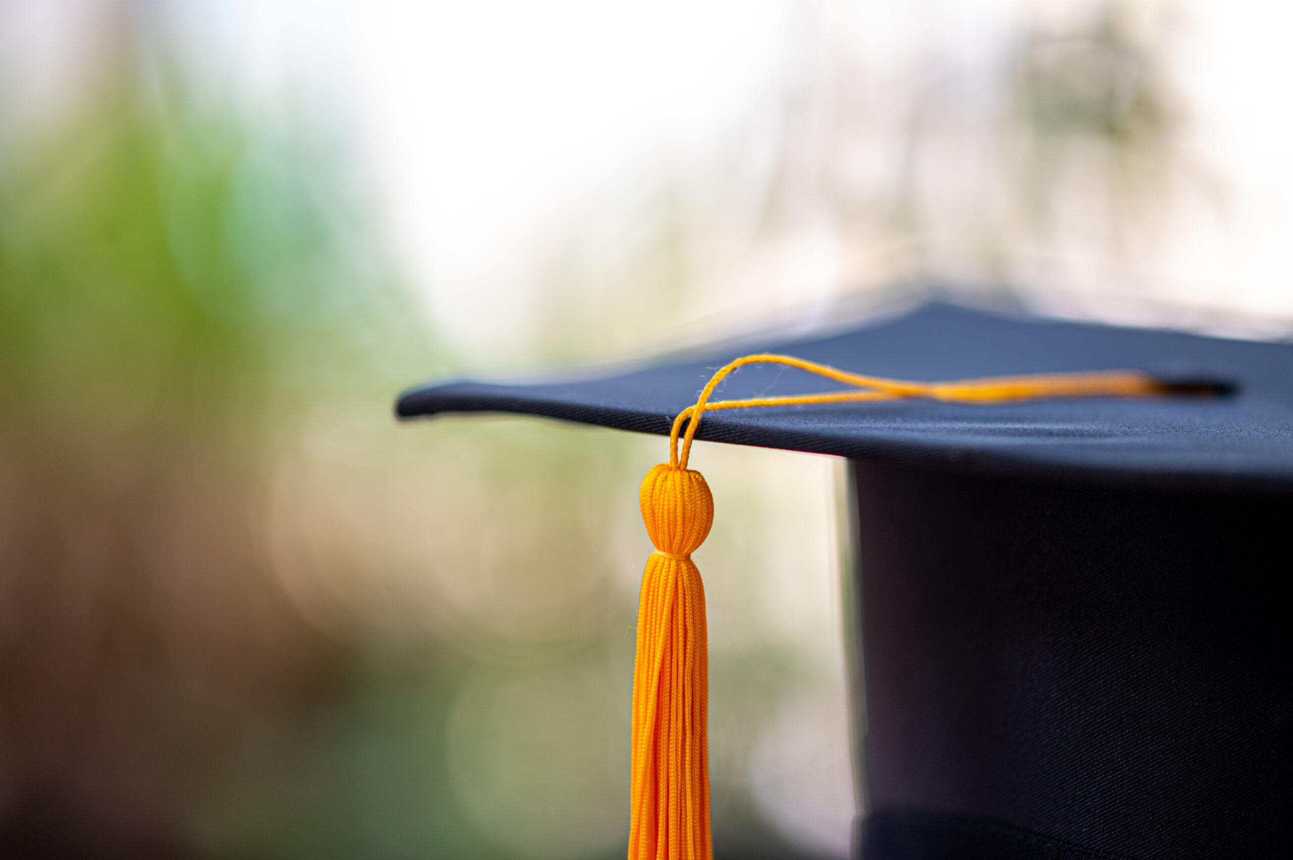 McDougle and Obenshain: Democrats Are Destabilizing Virginia’s Universities Image