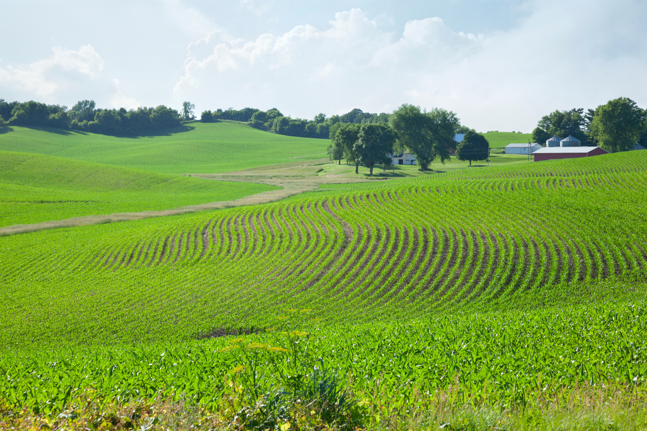 University of Minnesota Honors Outstanding Farm Families at Farmfest 2025 Image