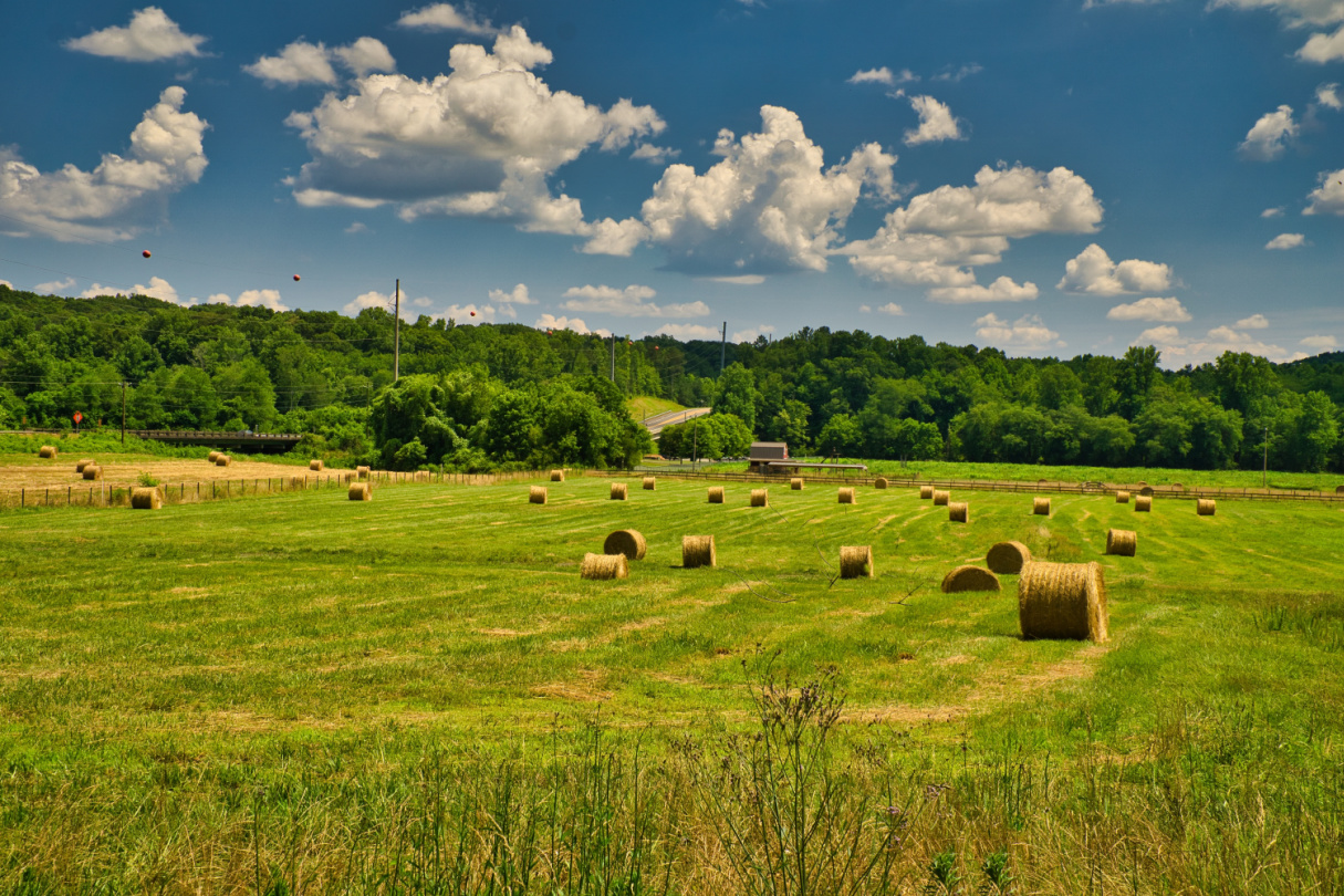 Walker: Georgia’s Farmers Keep the State Growing Strong