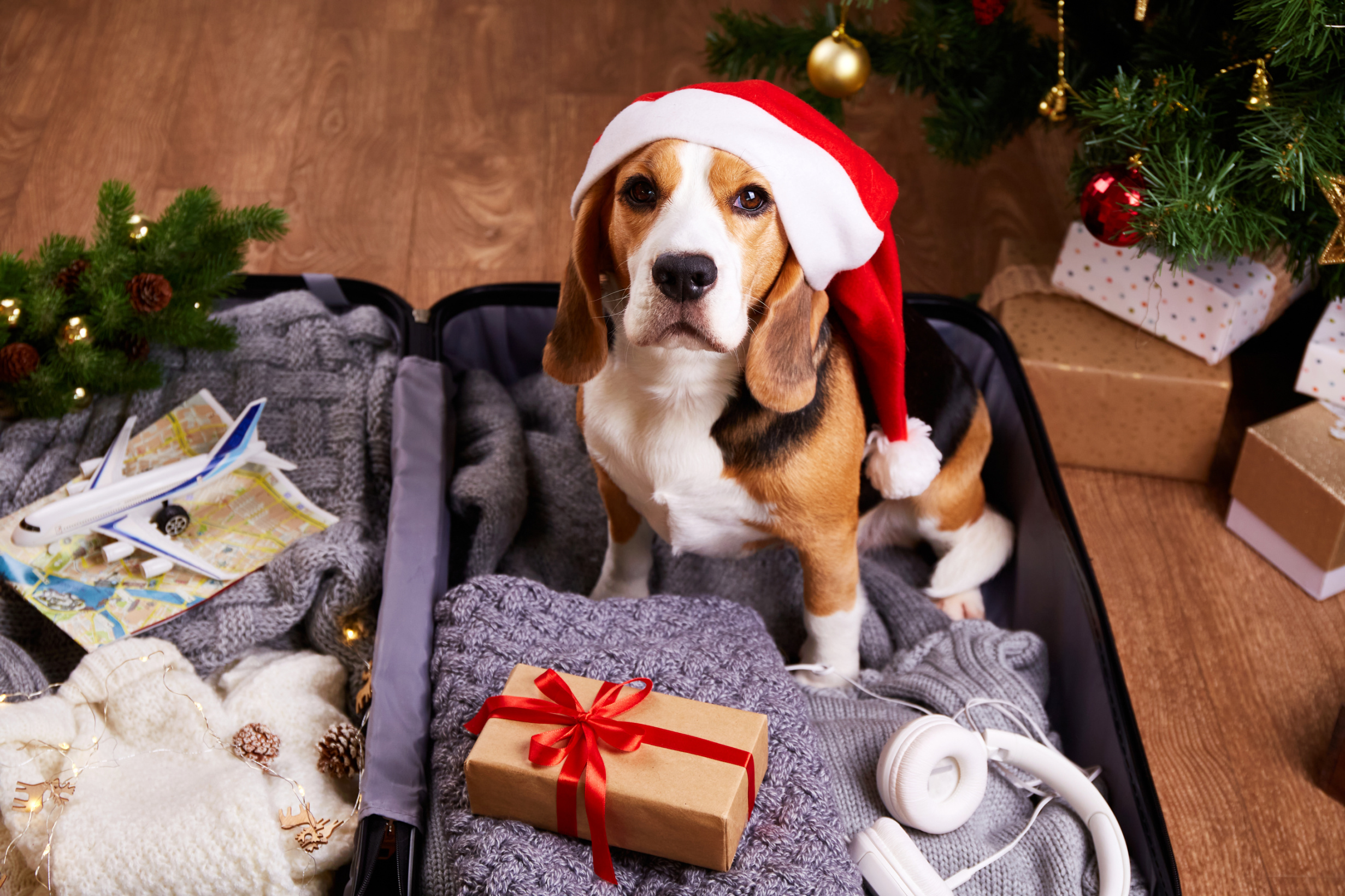 Should You Ship, Check, or Carry On Your Gifts?