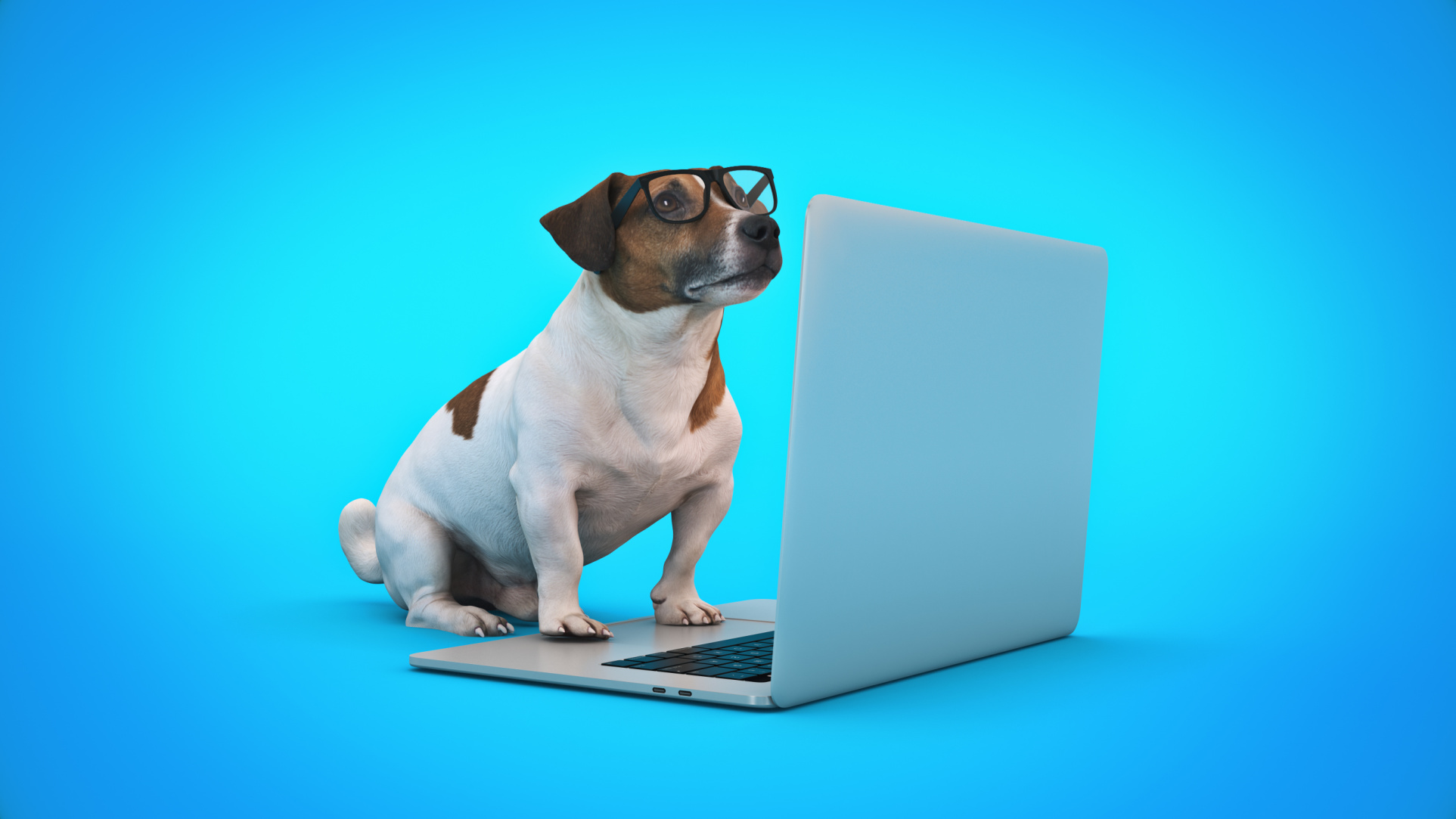 New AI Companion Helps Pets Feel Less Lonely