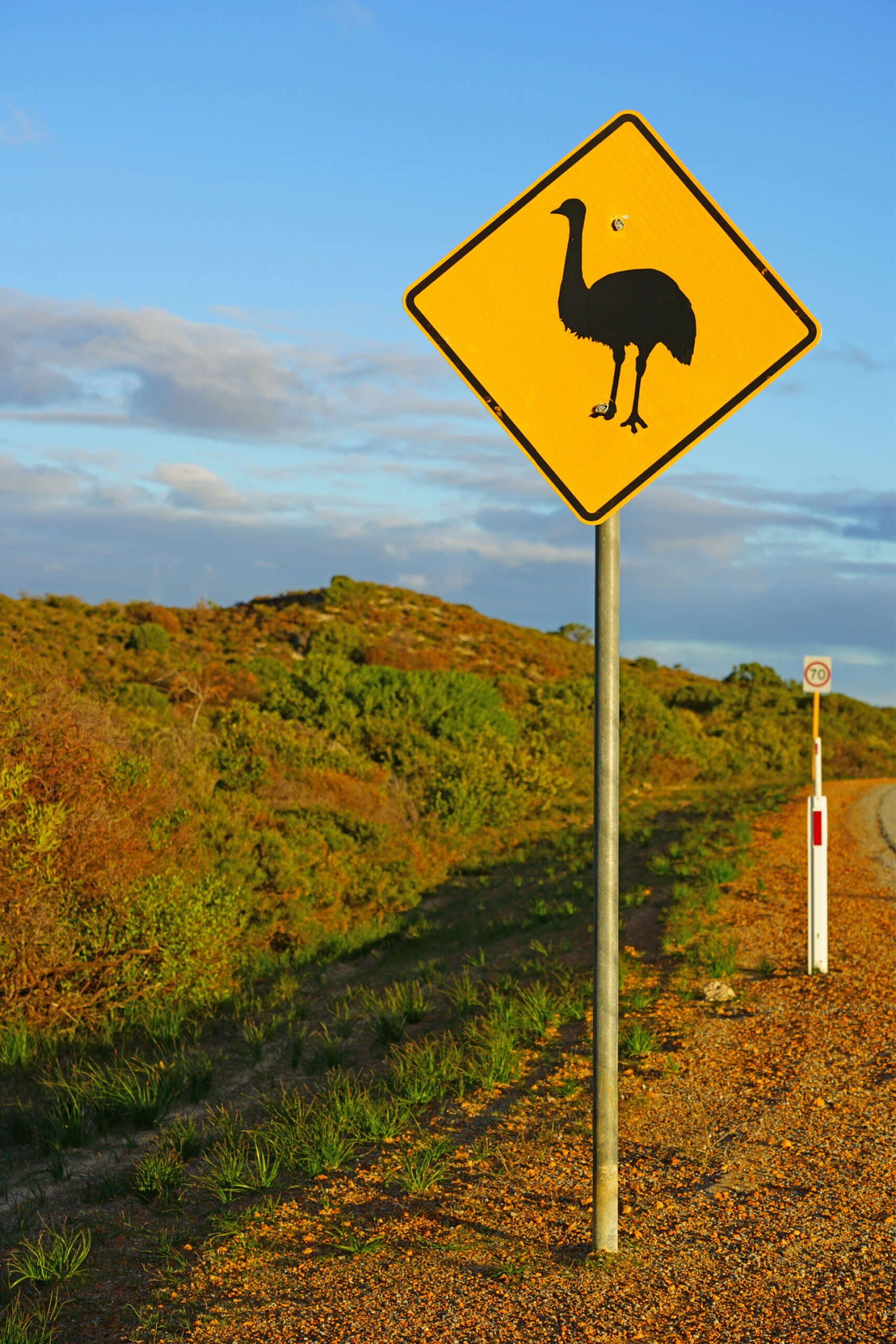 Florida Man, Meet Florida Emu Image