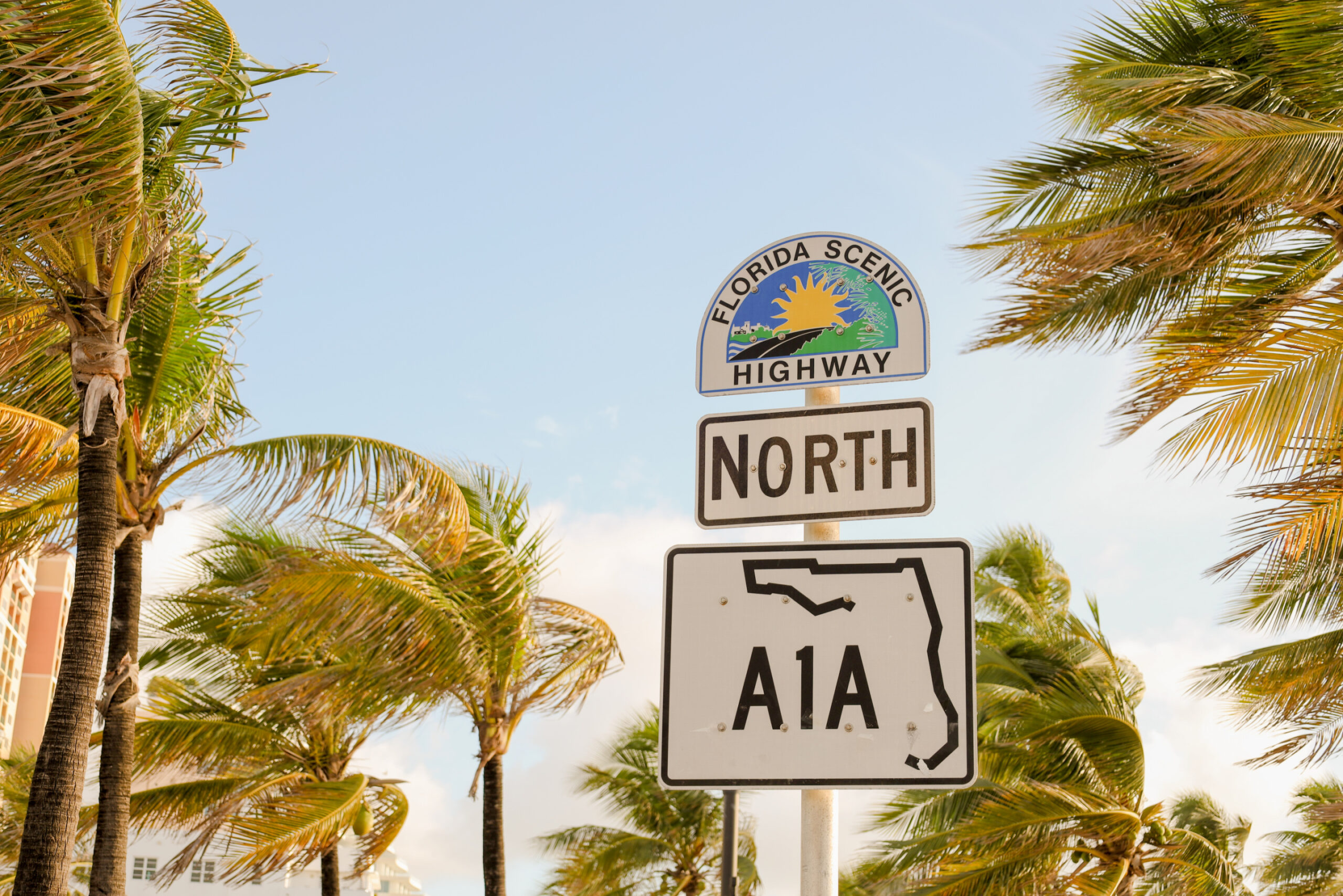 Florida Driver Runs Into Traffic to Save Two Toddlers