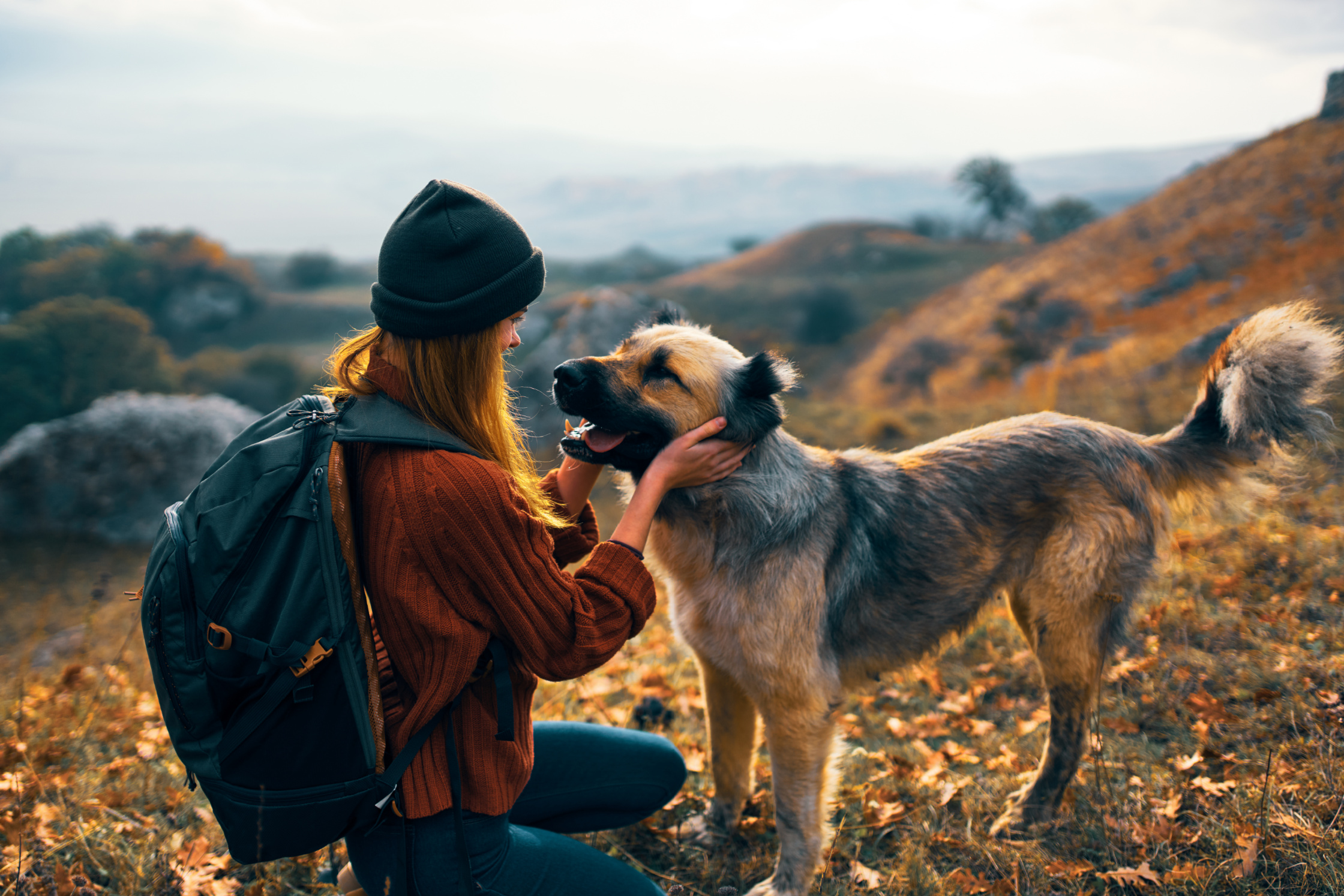 Startup Raises $250 Million to Extend Dogs’ Healthy Lifespans