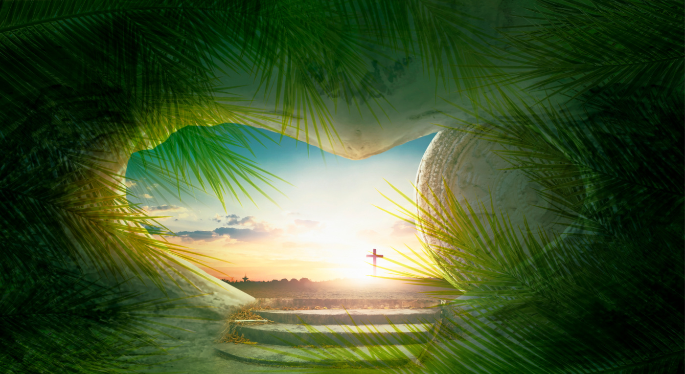 Palm Sunday’s Message: A Timeless Reminder of Kindness
