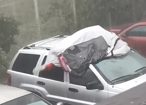 Florida Man Risks It All… for a Sunroof Image