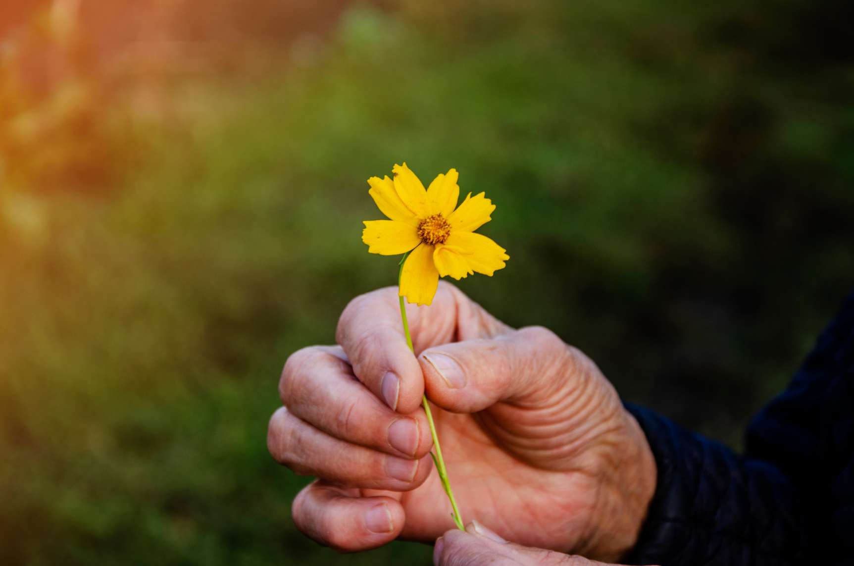 Could Your Story of Kindness Make It Into a New Book?
