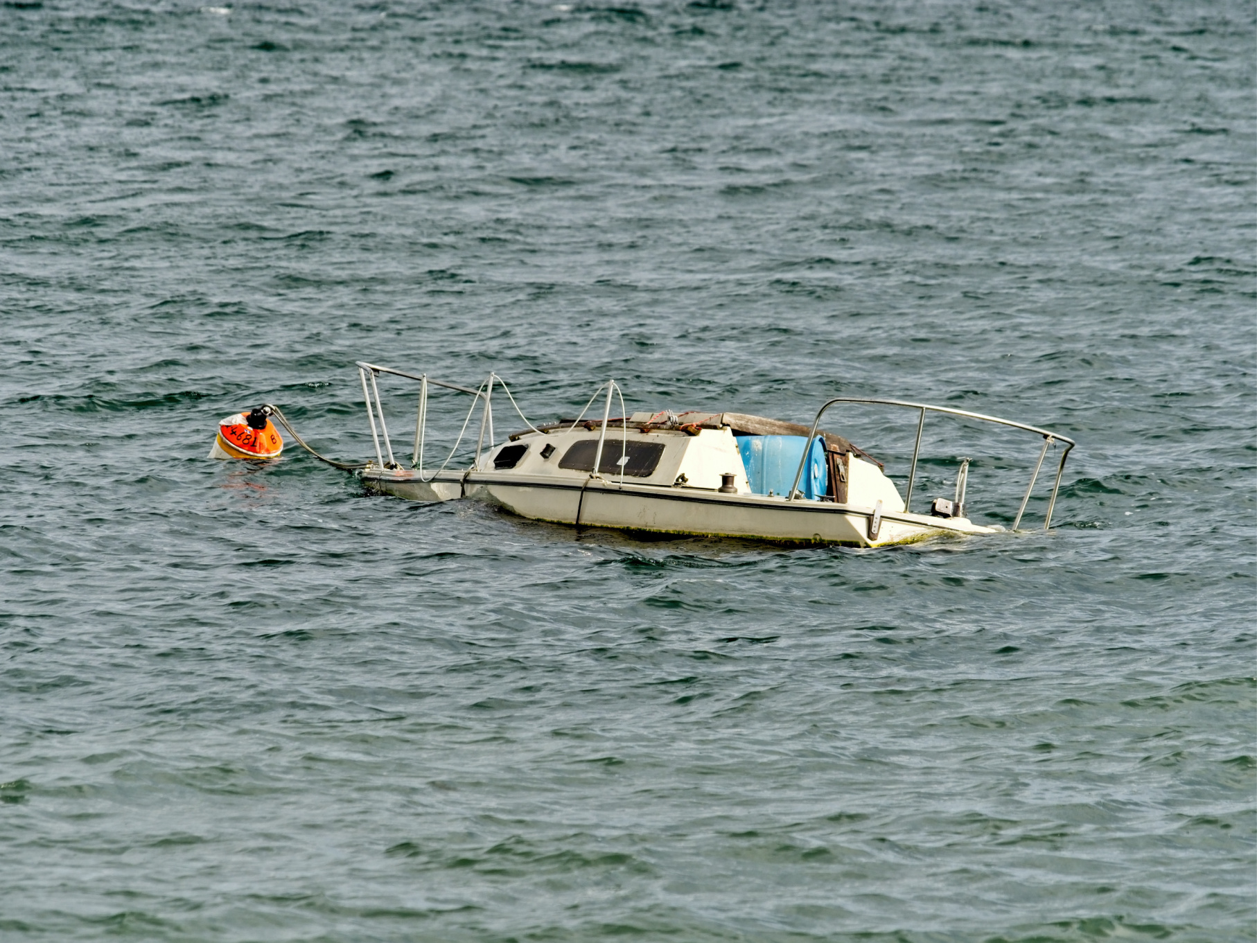 Brothers and Dog Rescued from Sinking Boat