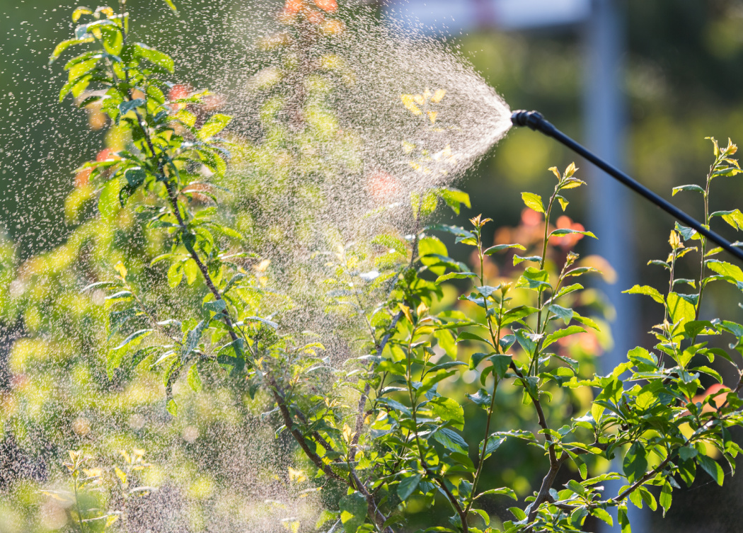 Vermont Becomes First State to Ban Paraquat Herbicide Image